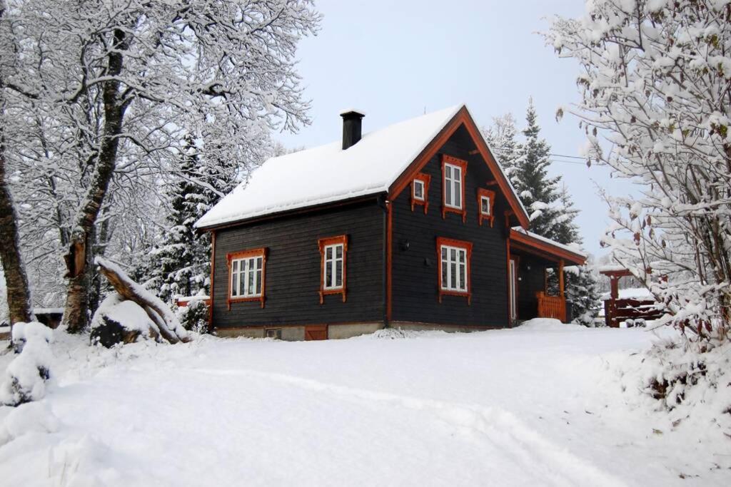 Villa 100 Years Old Norwegian Log House In Tromsø Exterior foto